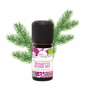 Huile essentielle Épinette noire Certifiée Bio