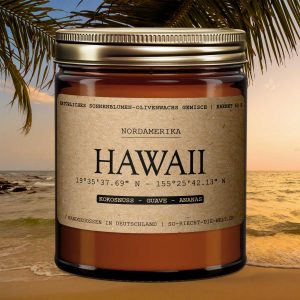 Bougie Collector -Hawaii Aloha
